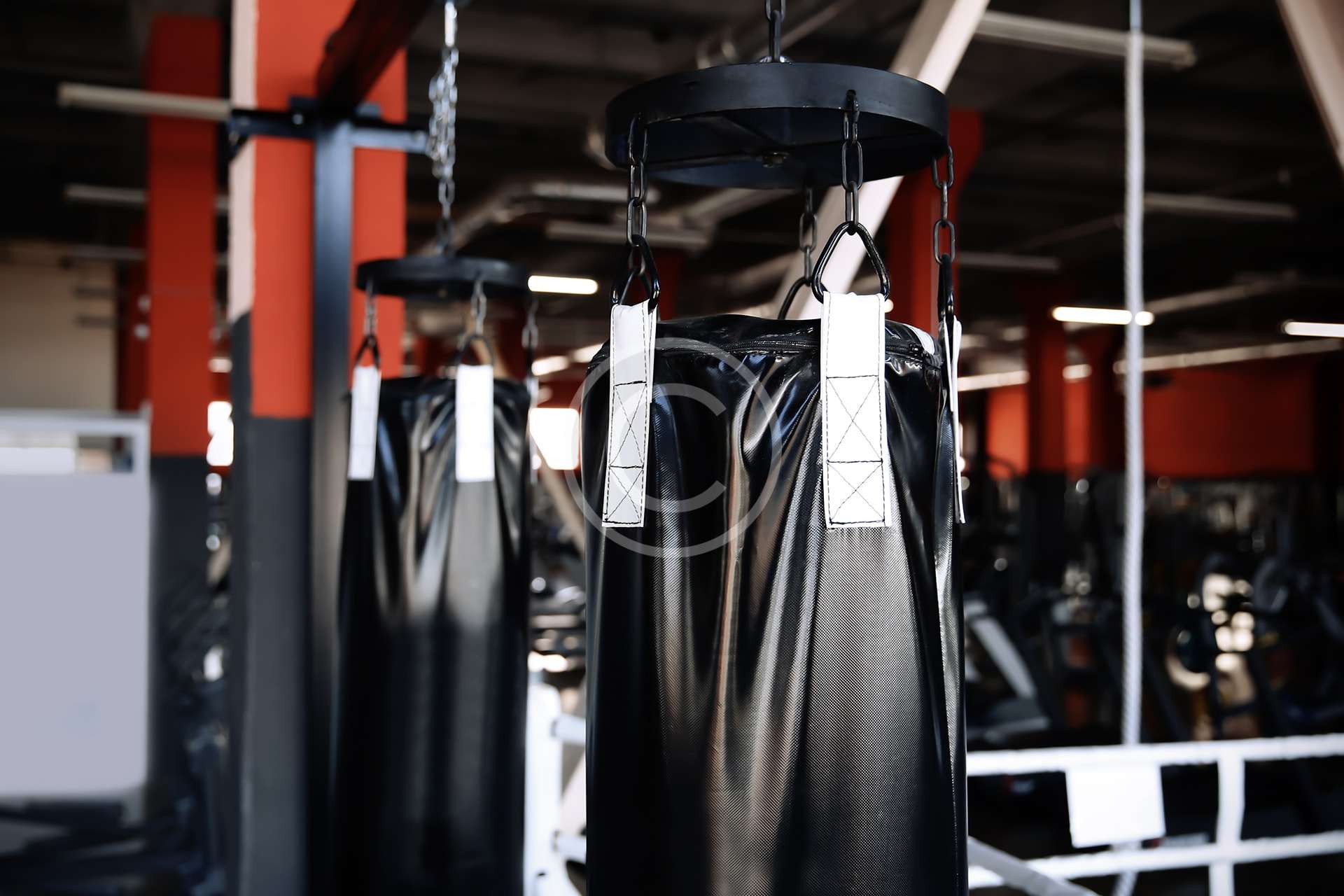 gallery-10-copyright