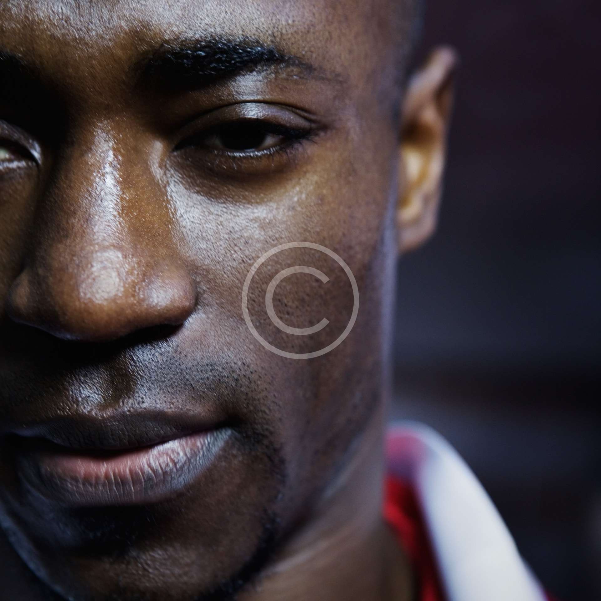 gallery-7-copyright